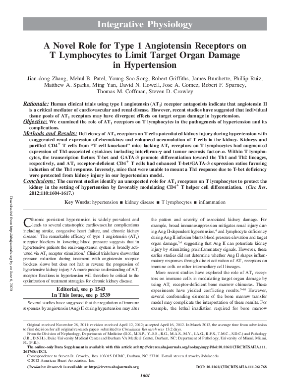 (PDF) A Novel Role for Type 1 Angiotensin Receptors on T Lymphocytes to ...