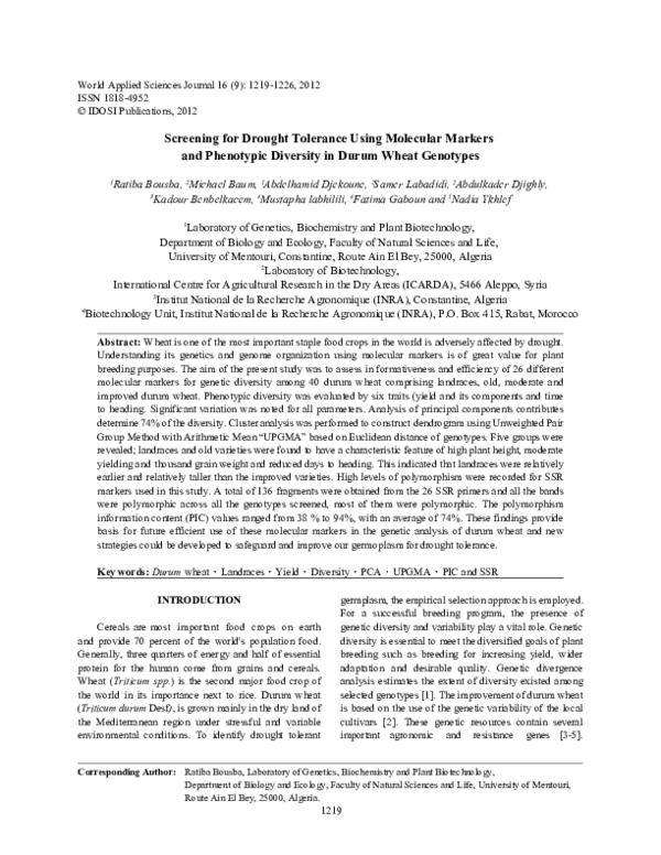(PDF) Screening for Drought Tolerance Using Molecular Markers and ...