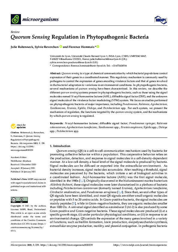 (PDF) Quorum Sensing Regulation in Phytopathogenic Bacteria