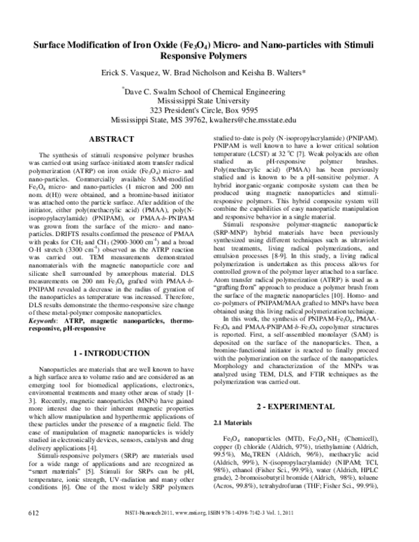 (PDF) Surface Modification of Iron Oxide (Fe3O4) Micro- and Nano ...