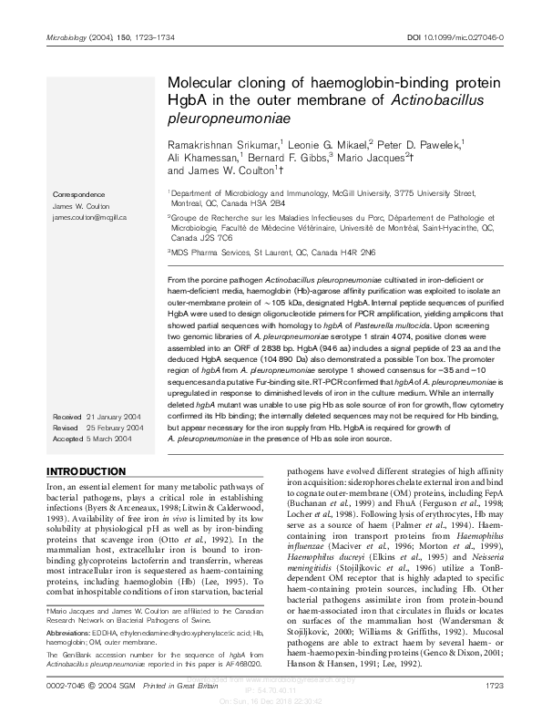 (PDF) Molecular cloning of haemoglobin-binding protein HgbA in the ...