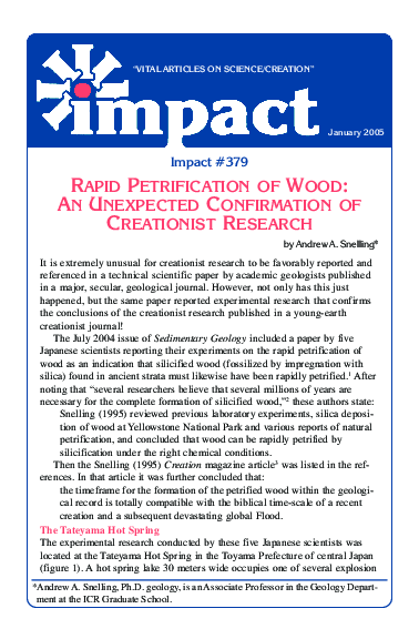 (PDF) Impact #379 RAPID PETRIFICATION OF WOOD: AN UNEXPECTED ...