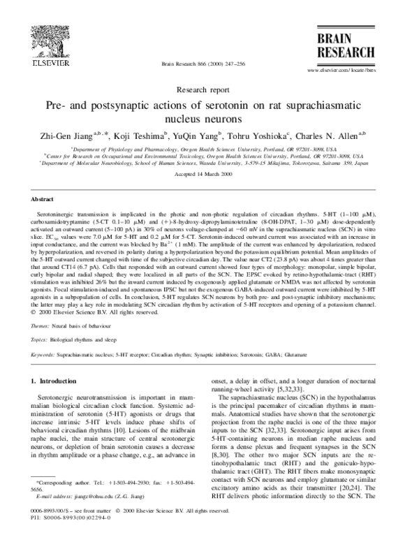 (PDF) Pre- and postsynaptic actions of serotonin on rat suprachiasmatic ...