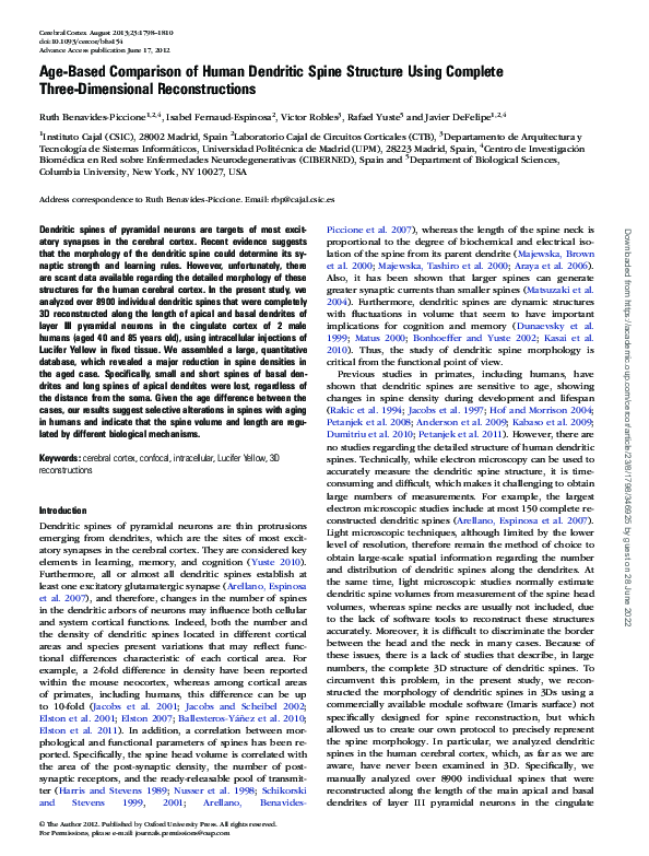(PDF) Age-Based Comparison of Human Dendritic Spine Structure Using ...