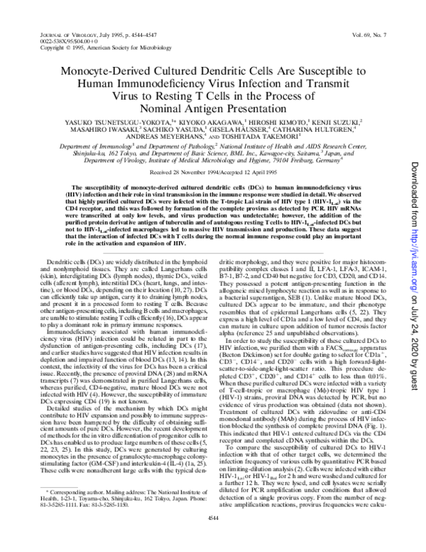 Monocyte-derived cultured dendritic cells are susceptible to human immunodeficiency virus infection and transmit virus to resting T cells in the process of nominal antigen presentation