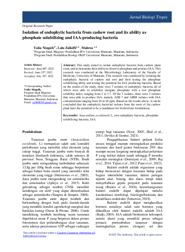 (PDF) Isolation of endophytic bacteria from cashew root and its ability ...