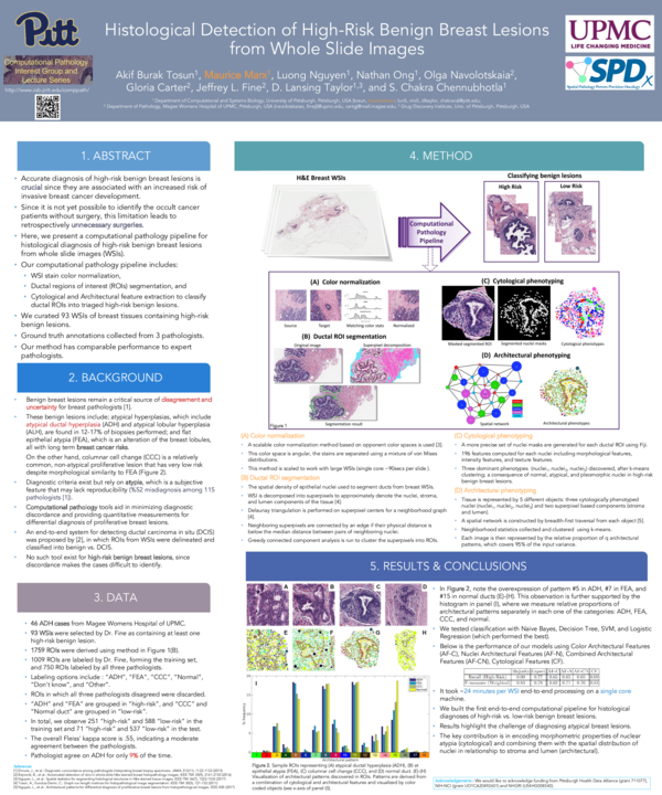 (PDF) Histological Detection of High-Risk Benign Breast Lesions from ...