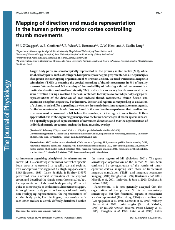 (PDF) Mapping of direction and muscle representation in the human ...