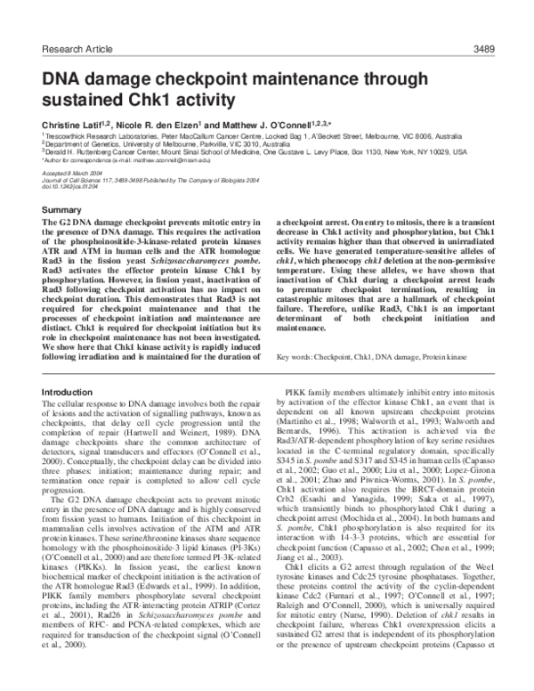 (PDF) DNA damage checkpoint maintenance through sustained Chk1 activity