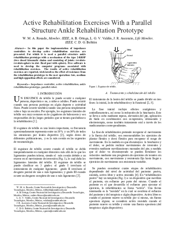 (PDF) Active Rehabilitation Exercises With a Parallel Structure Ankle ...
