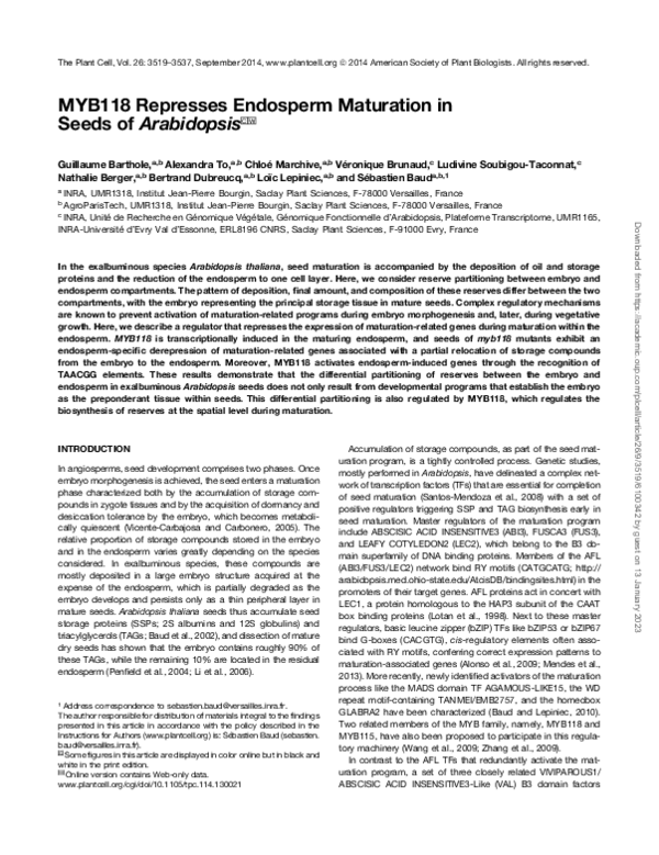 (PDF) MYB118 Represses Endosperm Maturation in Seeds of Arabidopsis