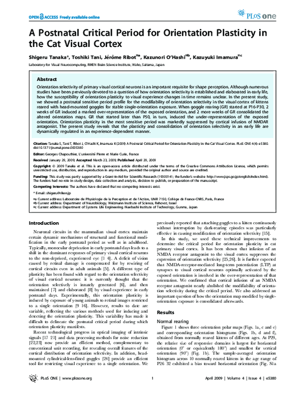 (PDF) A Postnatal Critical Period for Orientation Plasticity in the Cat ...