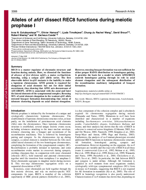 (PDF) Alleles ofafd1dissect REC8 functions during meiotic prophase I