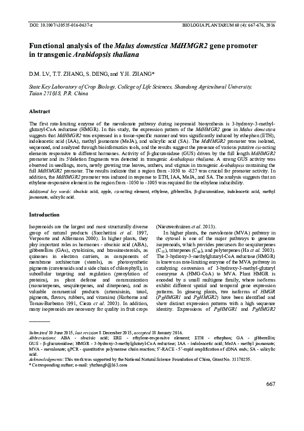 (PDF) Functional analysis of the Malus domestica MdHMGR2 gene promoter ...
