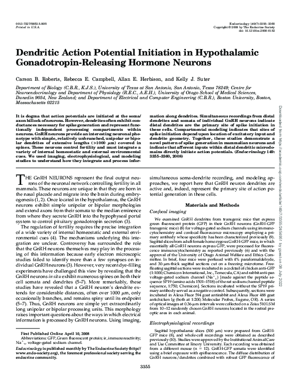 (PDF) Dendritic Action Potential Initiation in Hypothalamic ...