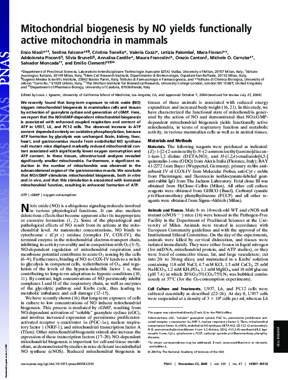 (PDF) Mitochondrial biogenesis by NO yields functionally active ...