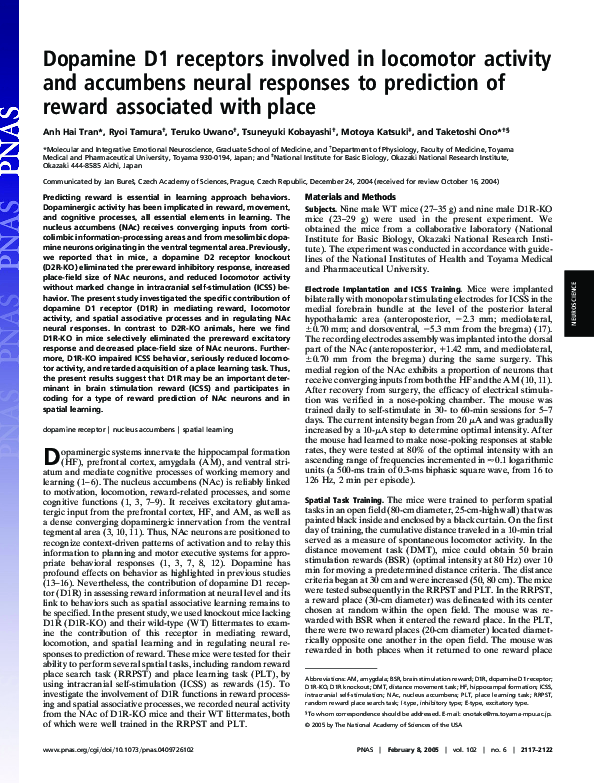 (PDF) Dopamine D1 receptors involved in locomotor activity and ...