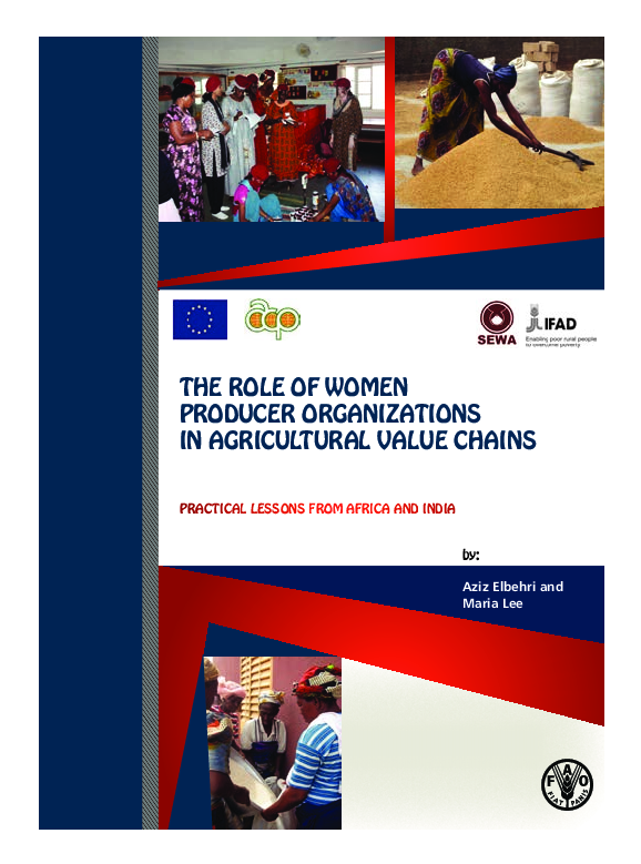 (PDF) THE ROLE OF WOMEN PRODUCER ORGANIZATIONS IN AGRICULTURAL VALUE ...