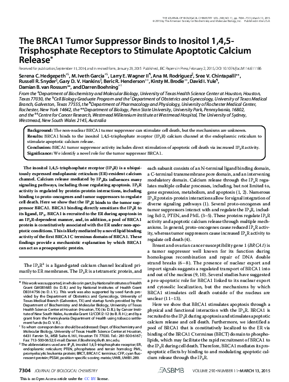 (PDF) The BRCA1 Tumor Suppressor Binds to Inositol 1,4,5-Trisphosphate ...