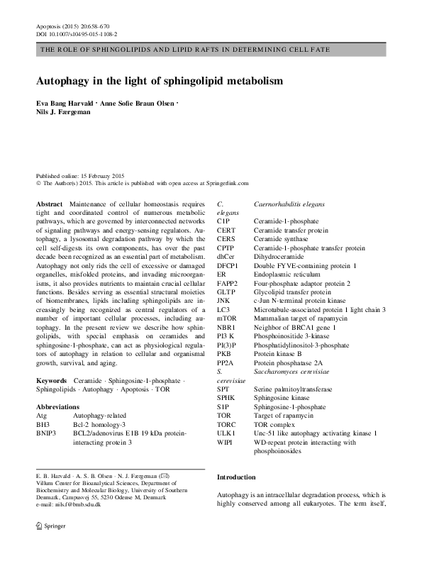 (PDF) Autophagy in the light of sphingolipid metabolism