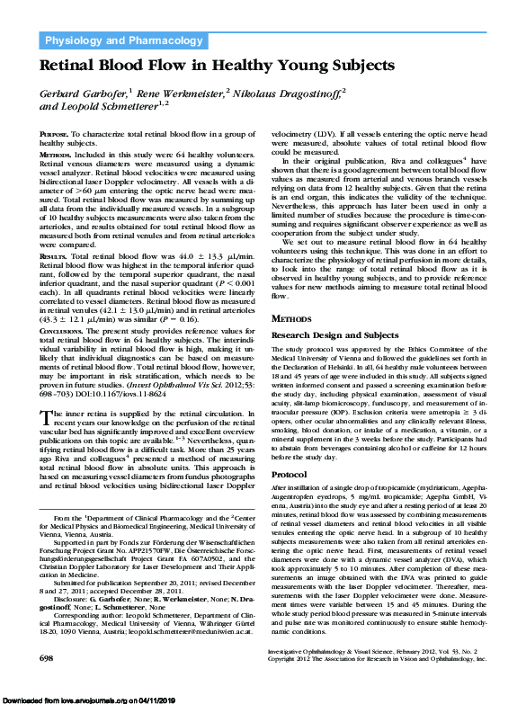 (PDF) Retinal Blood Flow in Healthy Young Subjects