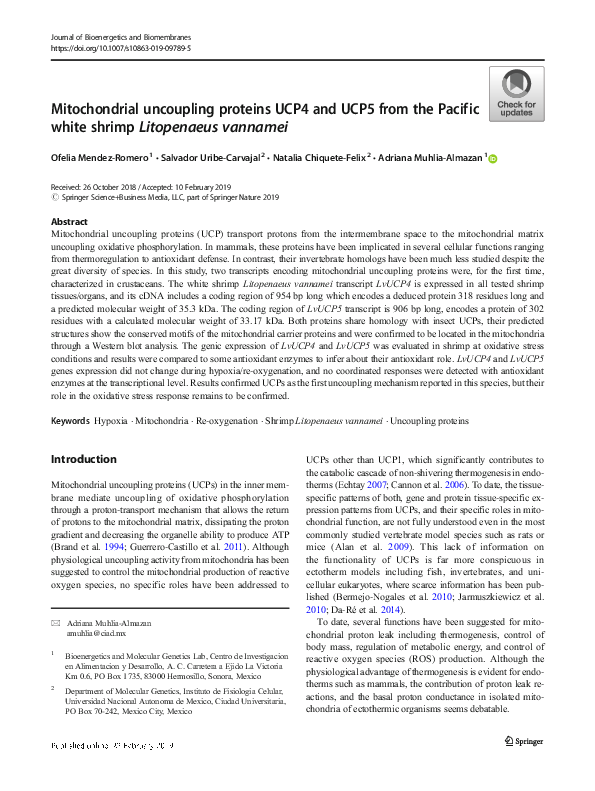 (PDF) Mitochondrial uncoupling proteins UCP4 and UCP5 from the Pacific ...