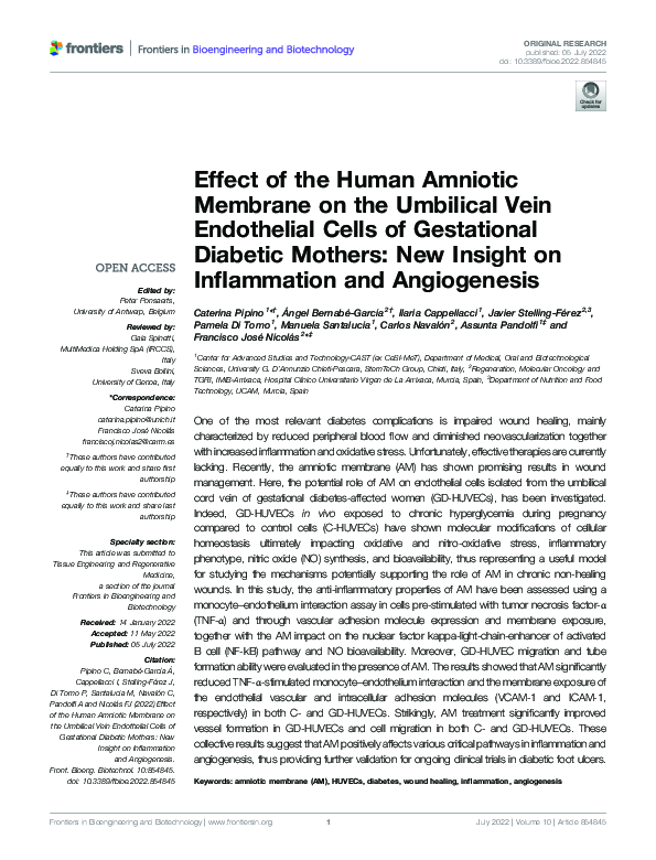 (PDF) Effect of the Human Amniotic Membrane on the Umbilical Vein ...