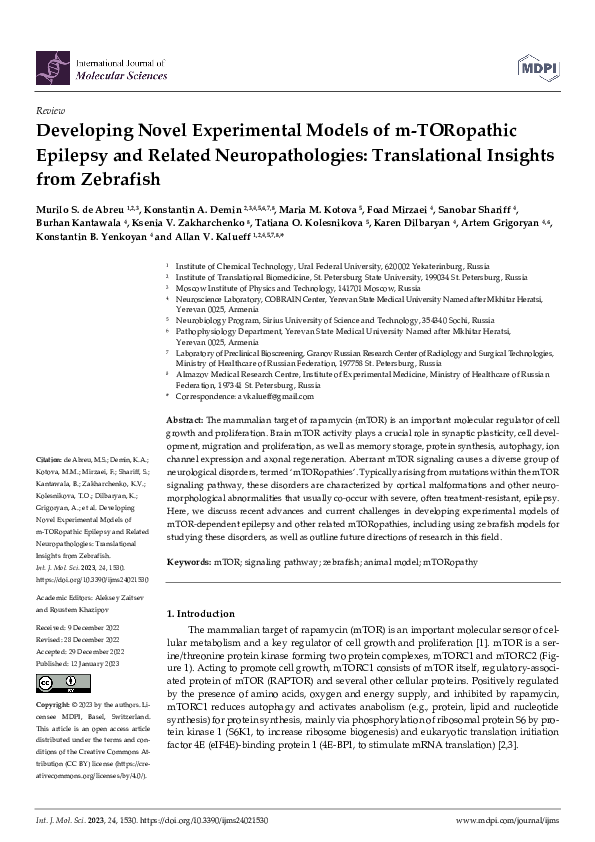 (PDF) Developing Novel Experimental Models of m-TORopathic Epilepsy and ...
