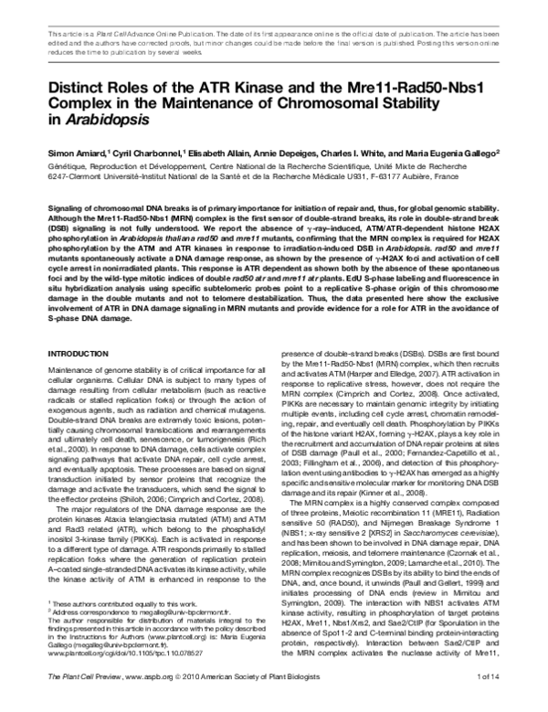 (PDF) Distinct Roles of the ATR Kinase and the Mre11-Rad50-Nbs1 Complex ...