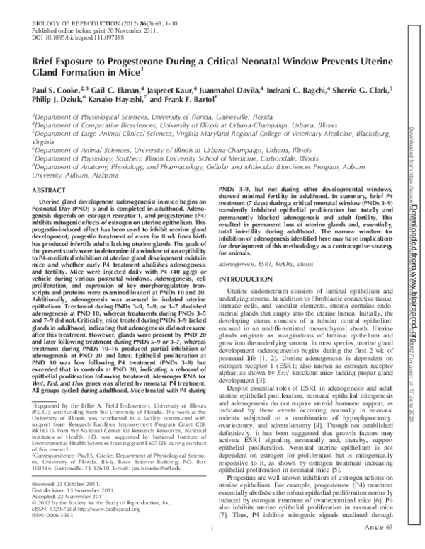(PDF) Brief Exposure to Progesterone During a Critical Neonatal Window ...