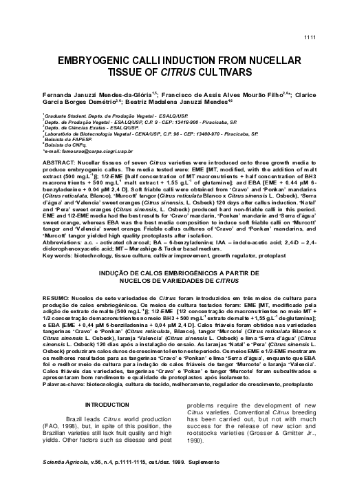(PDF) Embryogenic calli induction from nucellar tissue of Citrus cultivars