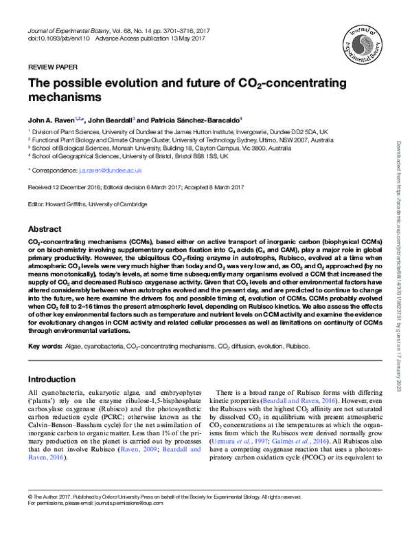 The possible evolution and future of CO2-concentrating mechanisms