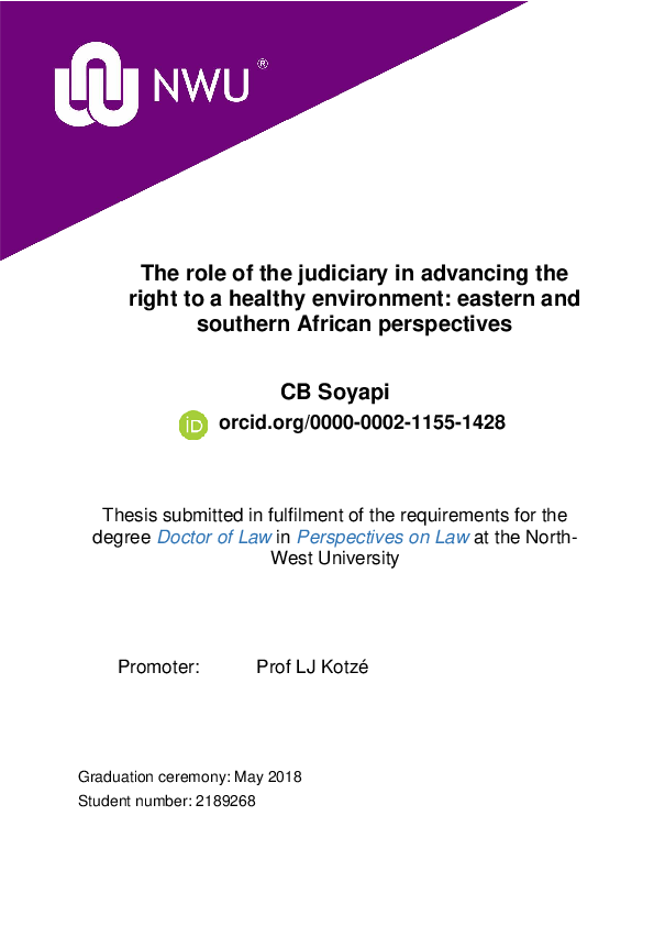 (PDF) The role of the judiciary in advancing the right to a healthy ...