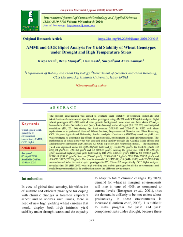 (PDF) AMMI and GGE Biplot Analysis for Yield Stability of Wheat ...