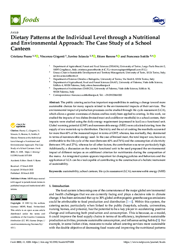 (PDF) Dietary Patterns at the Individual Level through a Nutritional ...
