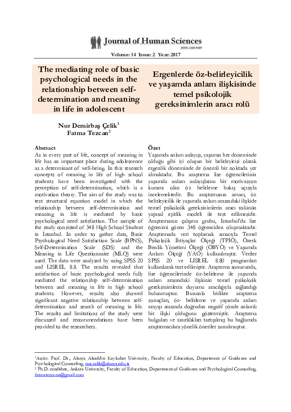 (PDF) The mediating role of basic psychological needs in the ...