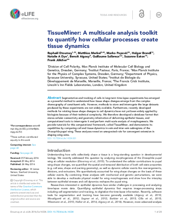 (PDF) TissueMiner: A multiscale analysis toolkit to quantify how ...