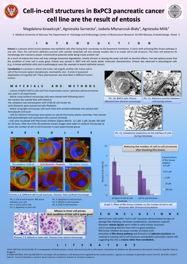 (PDF) Cell-in-cell structures in BxPC3 pancreatic cancer cell line are ...