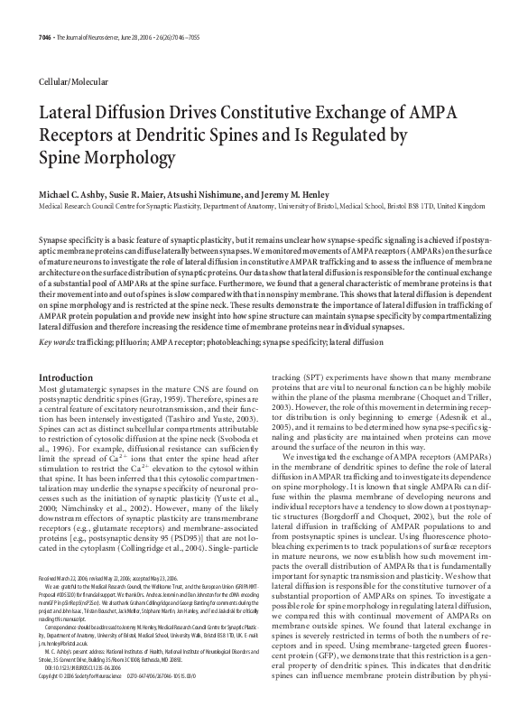 (PDF) Lateral Diffusion Drives Constitutive Exchange of AMPA Receptors ...