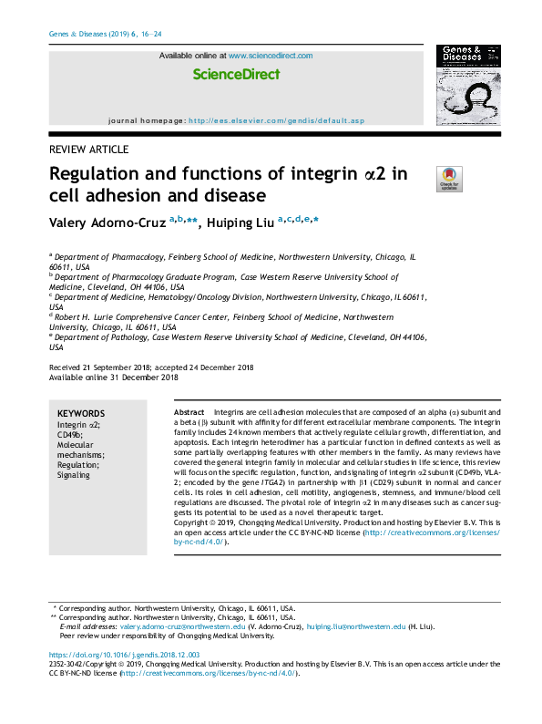 (PDF) Regulation and functions of integrin α2 in cell adhesion and disease