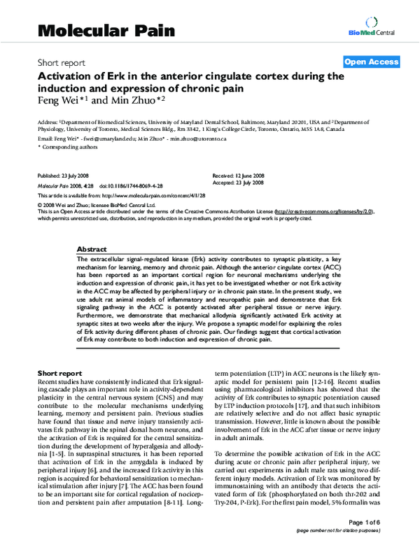 (PDF) Activation of Erk in the Anterior Cingulate Cortex During the ...