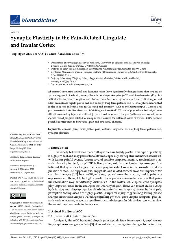 (PDF) Synaptic Plasticity in the Pain-Related Cingulate and Insular Cortex