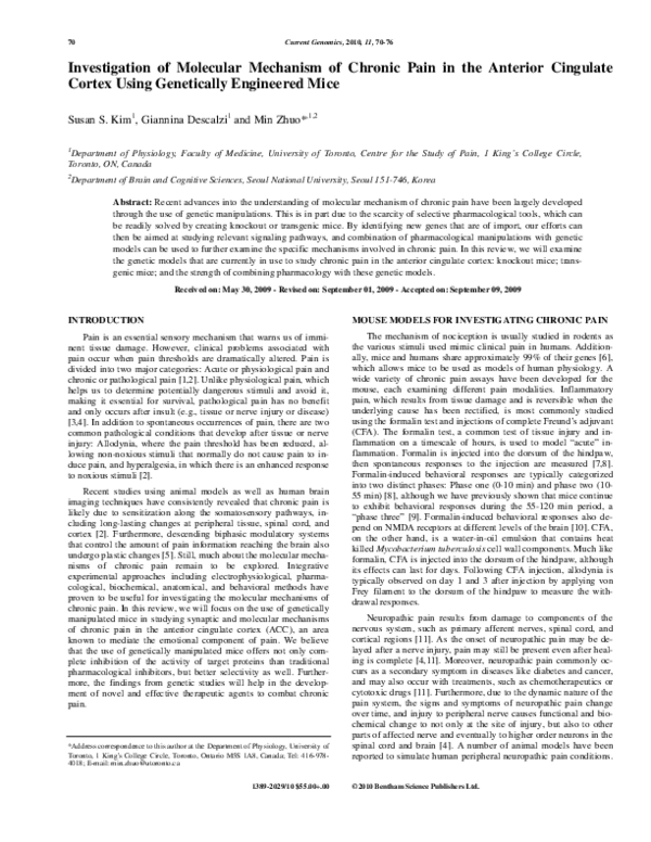 (PDF) Investigation of Molecular Mechanism of Chronic Pain in the ...