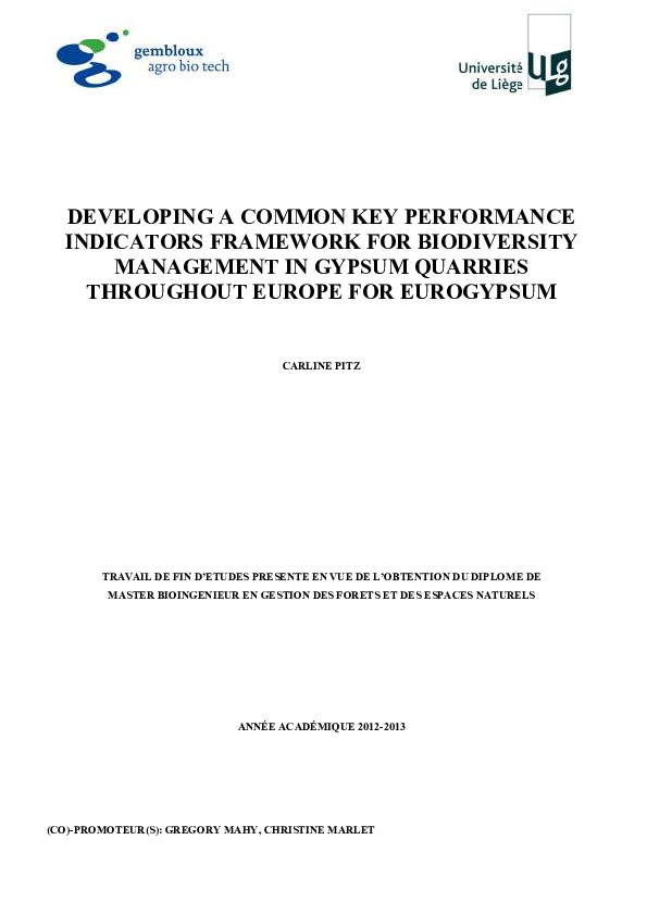(PDF) Developing a common Key Performance Indicators framework for ...