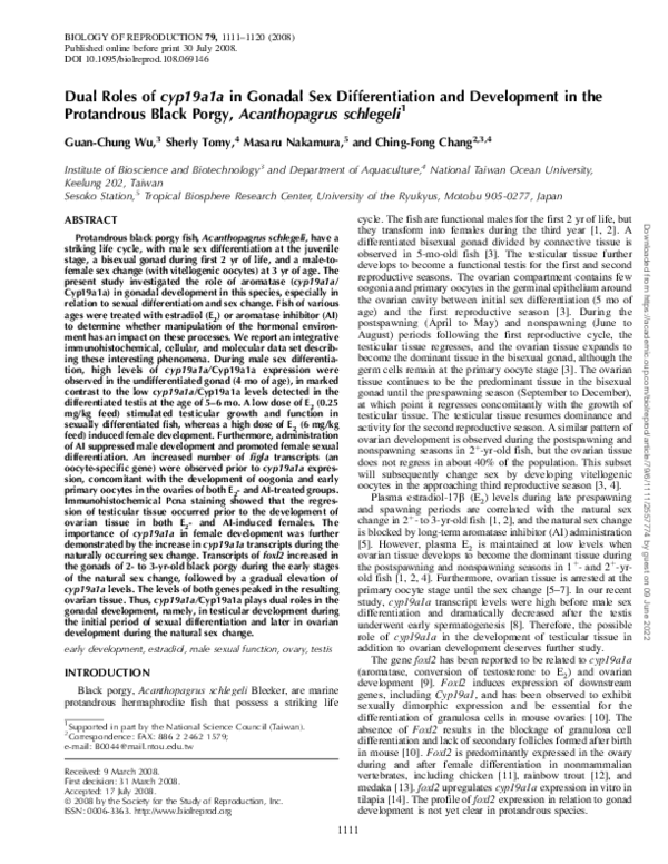 (PDF) Dual Roles of cyp19a1a in Gonadal Sex Differentiation and ...