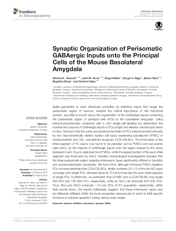 (PDF) Synaptic Organization of Perisomatic GABAergic Inputs onto the ...