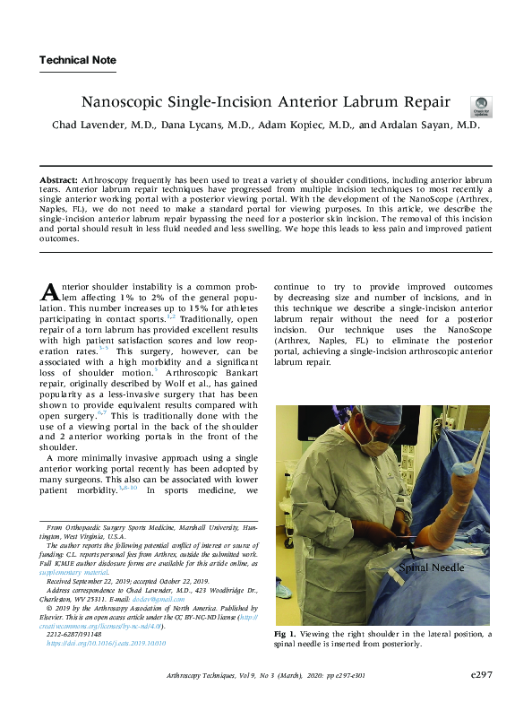 (PDF) Nanoscopic Single-Incision Anterior Labrum Repair