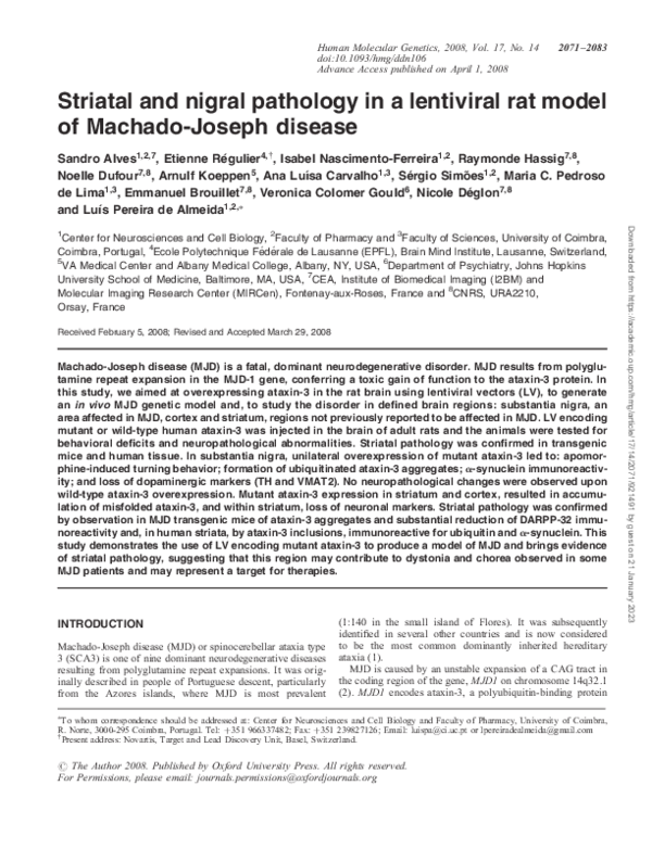 (PDF) Striatal and nigral pathology in a lentiviral rat model of ...