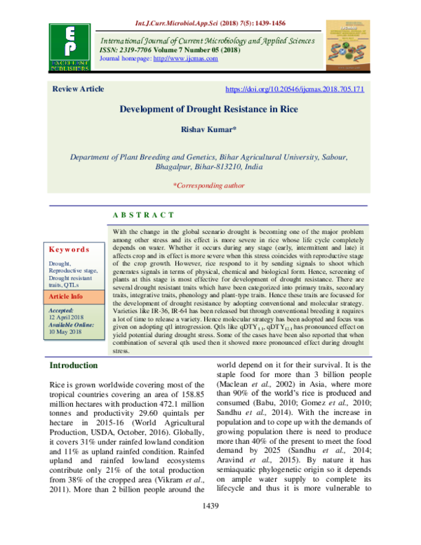 (PDF) Development of Drought Resistance in Rice