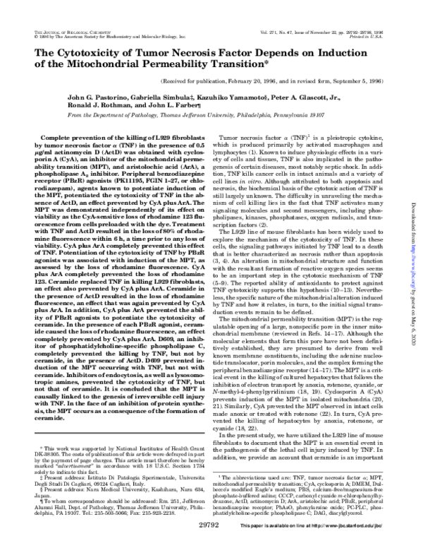 (PDF) The Cytotoxicity of Tumor Necrosis Factor Depends on Induction of ...